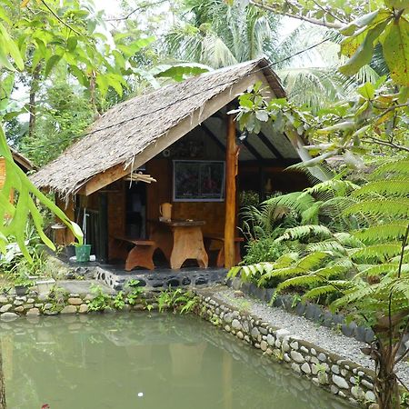 Magpie Homestay & Jungle Trekking Only For Guest Trekking With Us Bukit Lawang Exterior foto