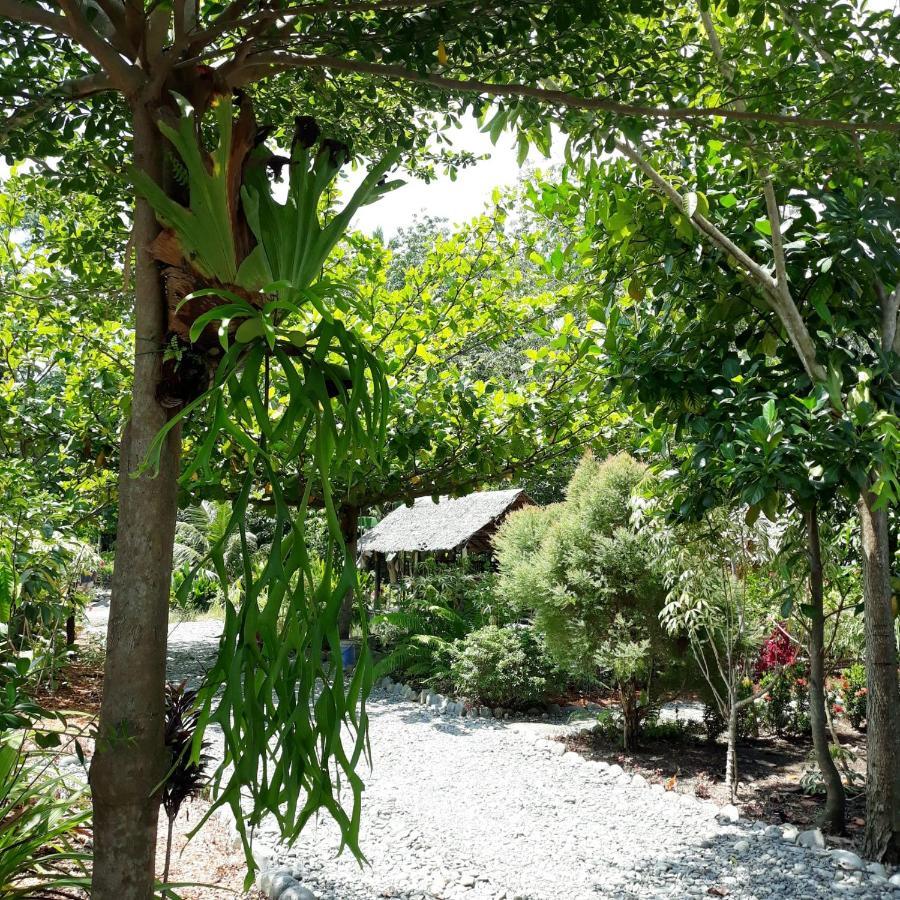 Magpie Homestay & Jungle Trekking Only For Guest Trekking With Us Bukit Lawang Exterior foto