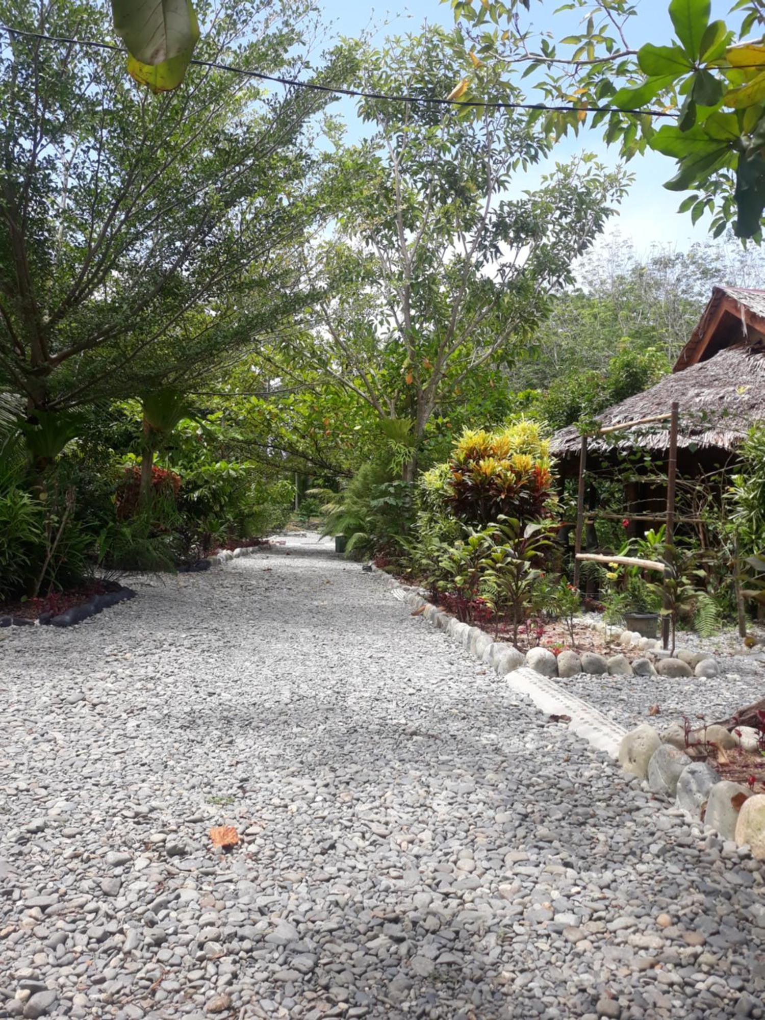 Magpie Homestay & Jungle Trekking Only For Guest Trekking With Us Bukit Lawang Exterior foto