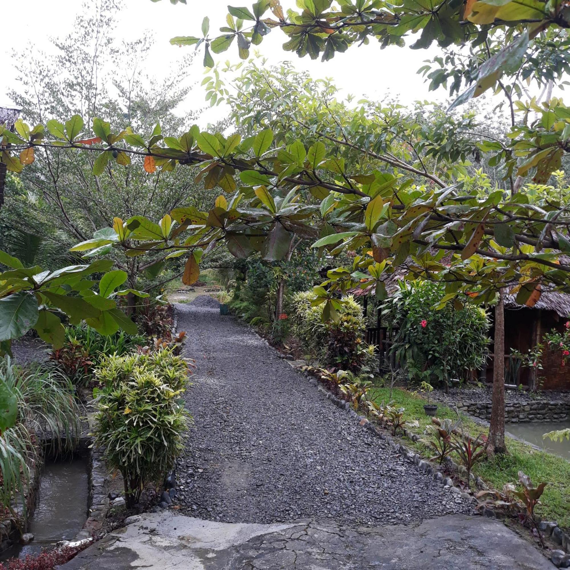 Magpie Homestay & Jungle Trekking Only For Guest Trekking With Us Bukit Lawang Zimmer foto
