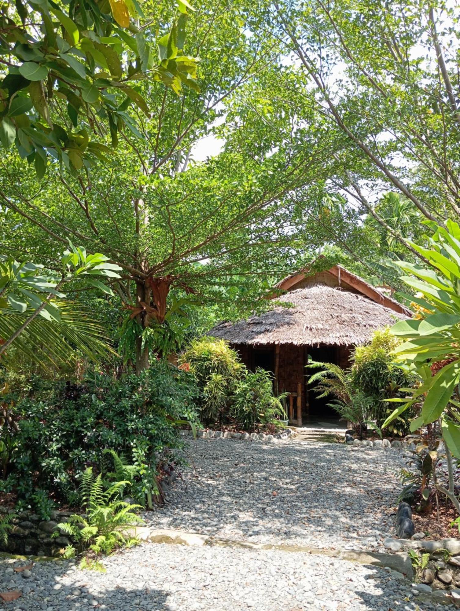 Magpie Homestay & Jungle Trekking Only For Guest Trekking With Us Bukit Lawang Exterior foto