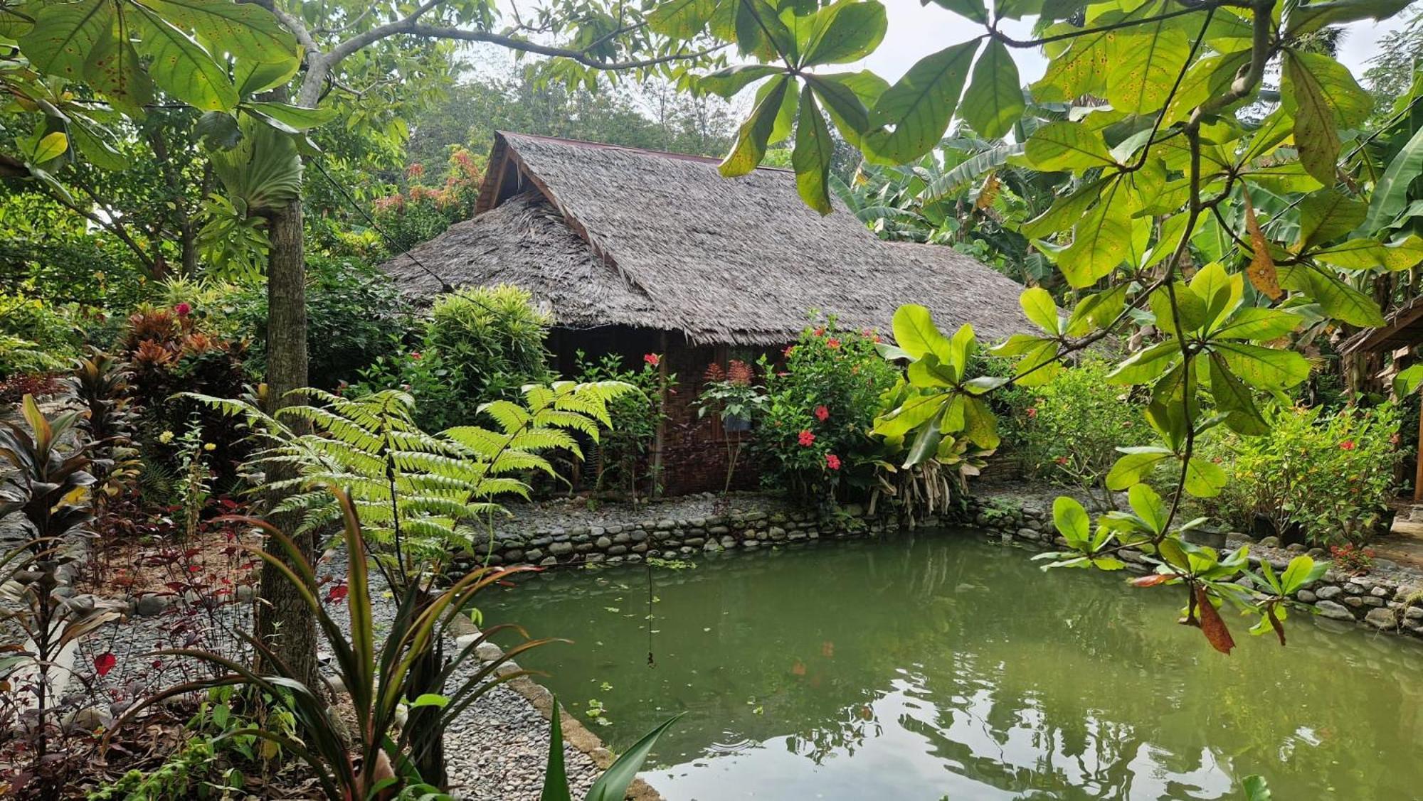 Magpie Homestay & Jungle Trekking Only For Guest Trekking With Us Bukit Lawang Exterior foto