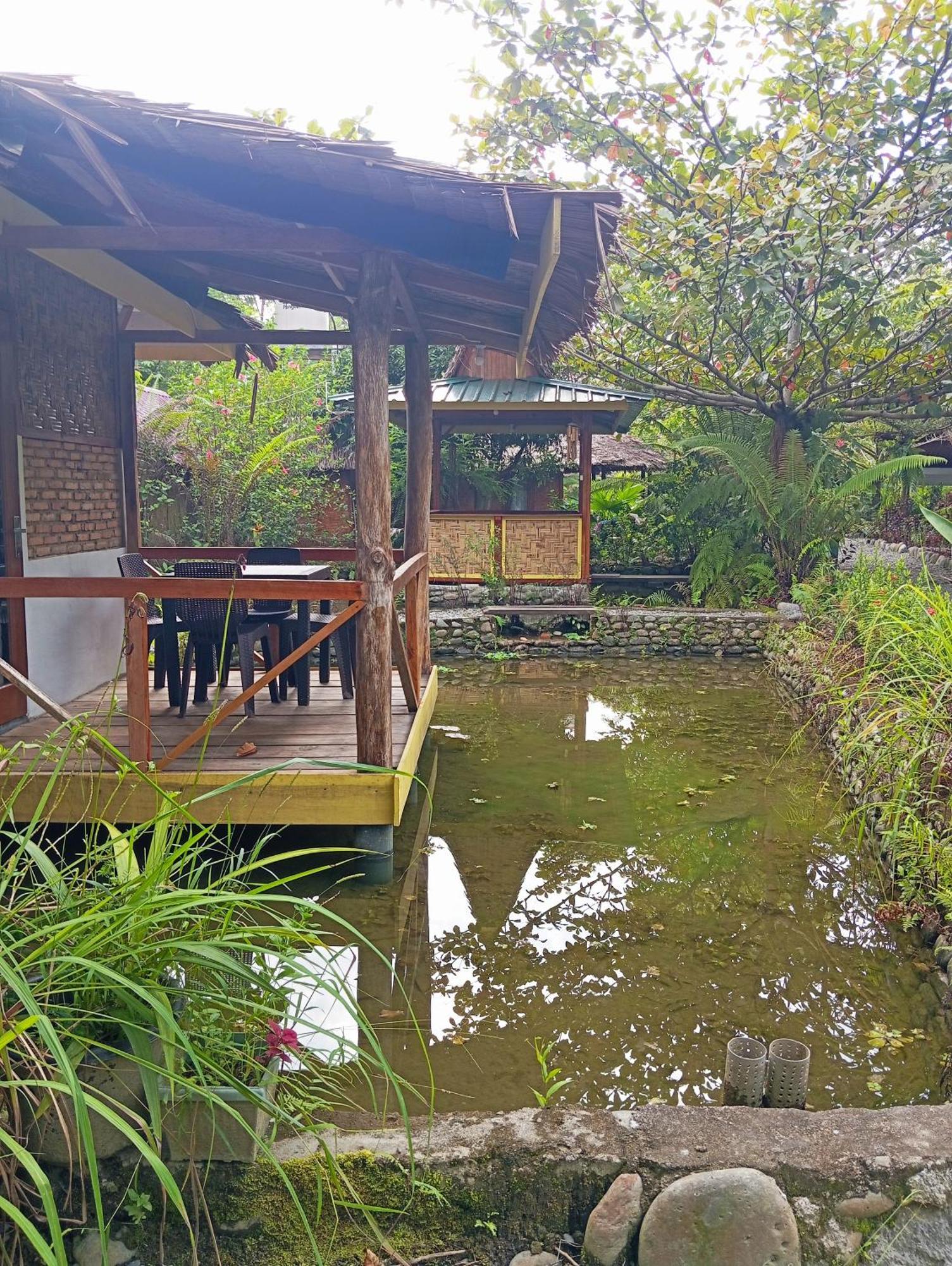 Magpie Homestay & Jungle Trekking Only For Guest Trekking With Us Bukit Lawang Zimmer foto