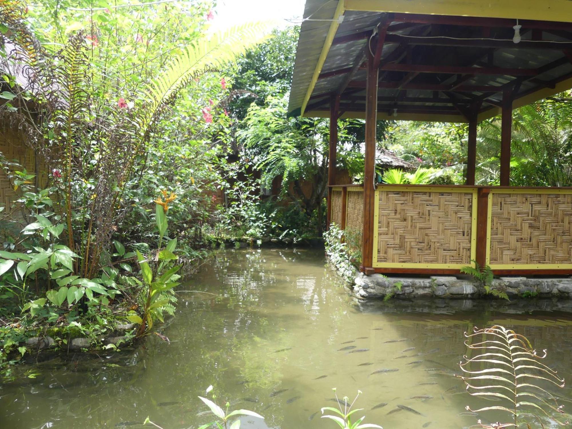 Magpie Homestay & Jungle Trekking Only For Guest Trekking With Us Bukit Lawang Zimmer foto