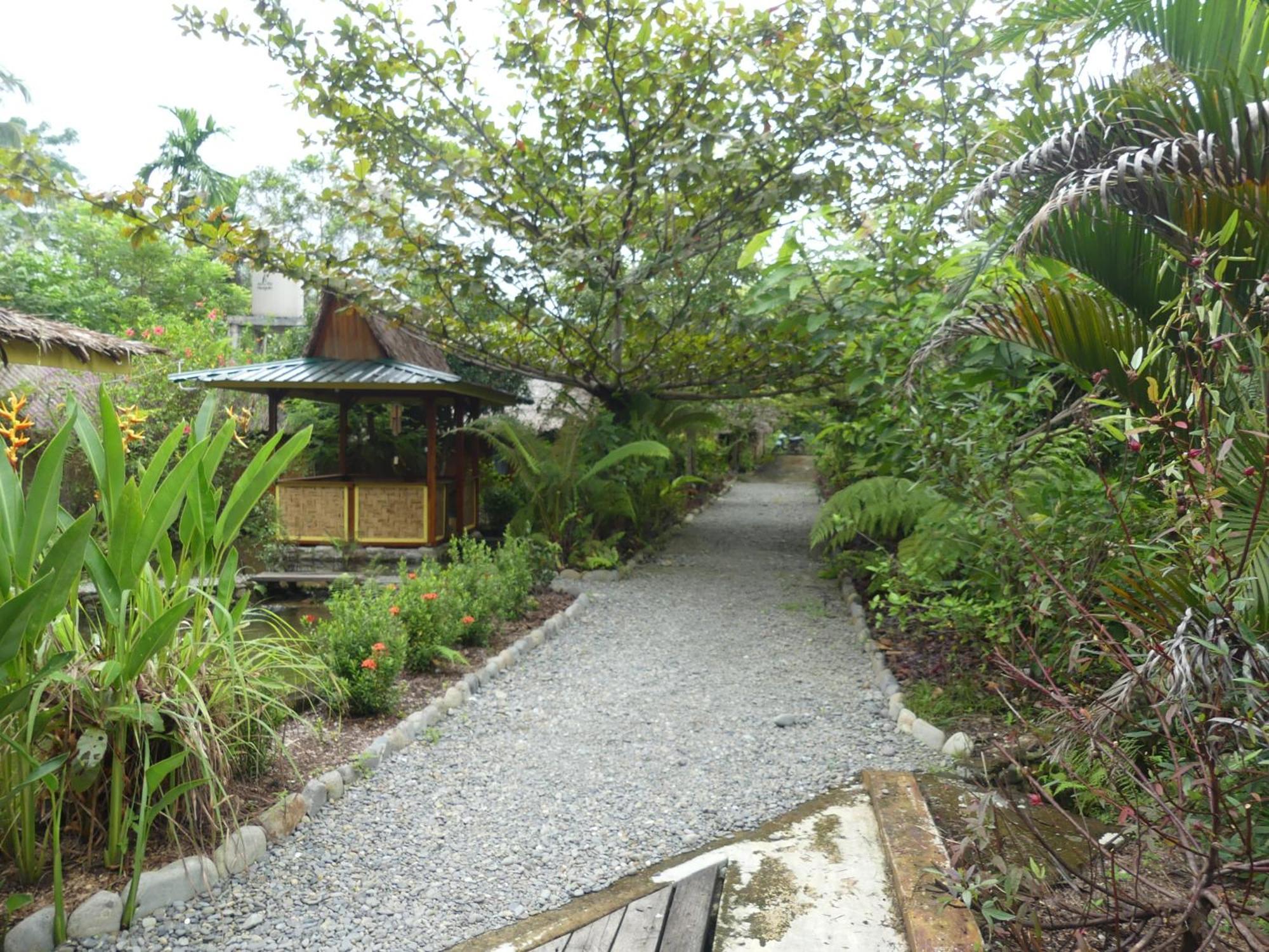 Magpie Homestay & Jungle Trekking Only For Guest Trekking With Us Bukit Lawang Zimmer foto
